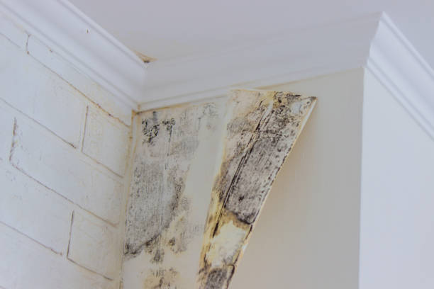 Water damage restoration experts in Quincy, WA